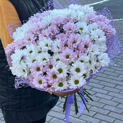 букет из розовой кустовой хризантемы - купить с доставкой в по Быково