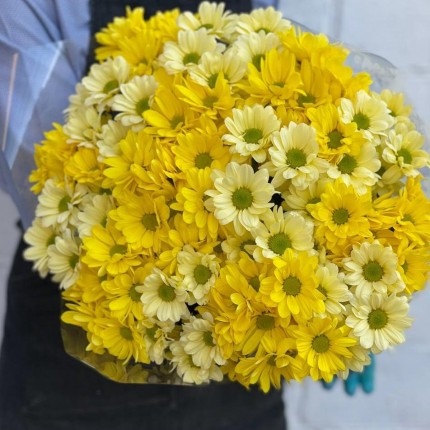 желтая кустовая хризантема - купить с доставкой в по Быково